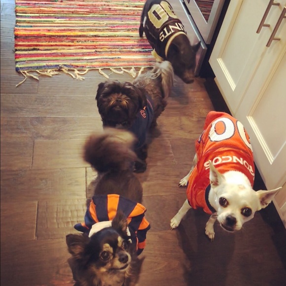 Meet your Posher, Shannon - Picture 2 of 3